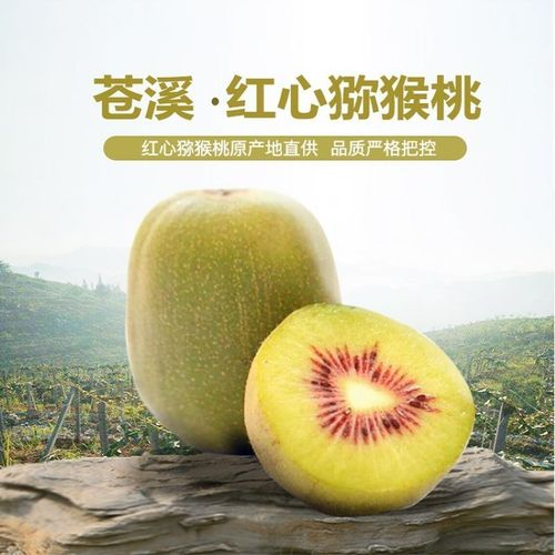 “苍溪红心猕猴桃”地理标志商标维权获胜诉判决